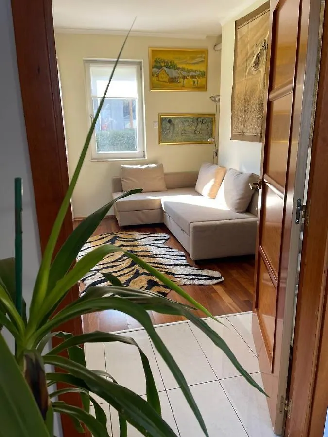 Rosehill Garden Family Villa With A Great Budapest View Appartement